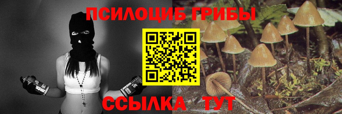 Псилоцибиновые грибы GOLDEN TEACHER Асбест